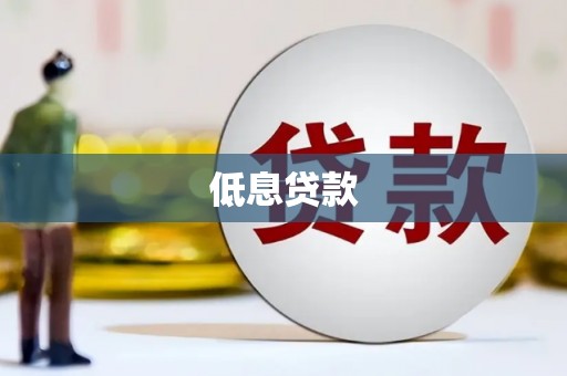 乐东低息贷款