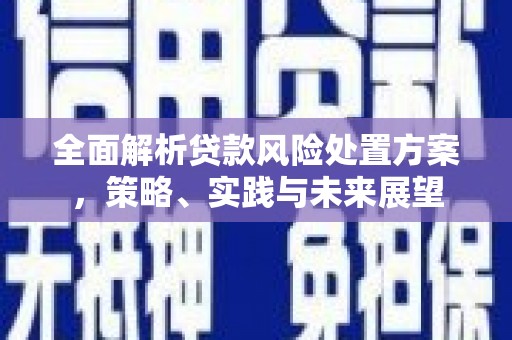 乐东全面解析贷款风险处置方案，策略、实践与未来展望