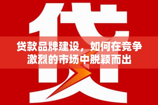 乐东贷款品牌建设，如何在竞争激烈的市场中脱颖而出