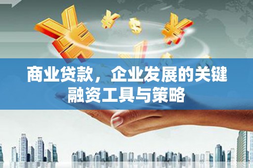 乐东商业贷款，企业发展的关键融资工具与策略