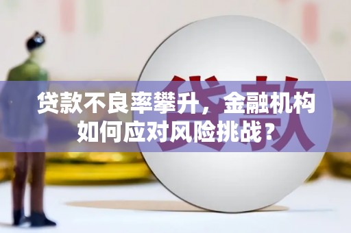 乐东贷款不良率攀升，金融机构如何应对风险挑战？