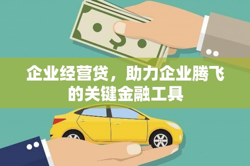 乐东企业经营贷，助力企业腾飞的关键金融工具