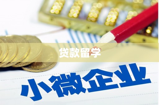 乐东贷款留学