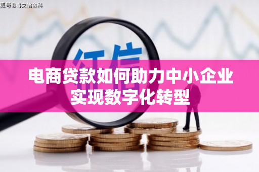 乐东电商贷款如何助力中小企业实现数字化转型