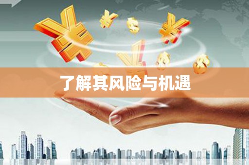 乐东了解其风险与机遇
