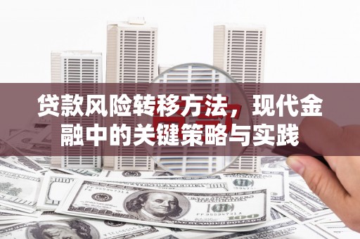 乐东贷款风险转移方法，现代金融中的关键策略与实践
