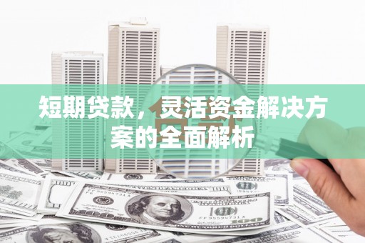 乐东短期贷款，灵活资金解决方案的全面解析