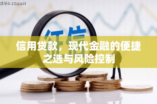 乐东信用贷款，现代金融的便捷之选与风险控制