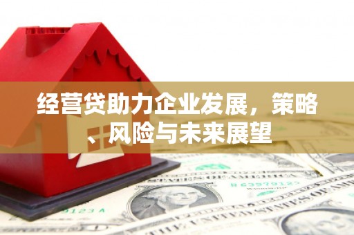 乐东经营贷助力企业发展，策略、风险与未来展望