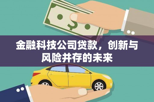 乐东金融科技公司贷款，创新与风险并存的未来