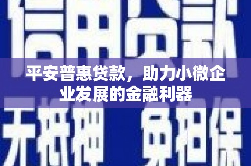 乐东平安普惠贷款，助力小微企业发展的金融利器