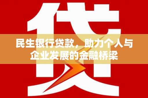 乐东民生银行贷款，助力个人与企业发展的金融桥梁