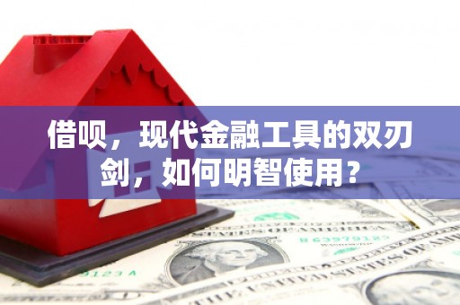 乐东借呗，现代金融工具的双刃剑，如何明智使用？