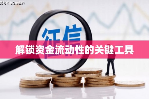 乐东解锁资金流动性的关键工具