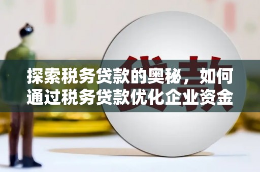 乐东探索税务贷款的奥秘，如何通过税务贷款优化企业资金流
