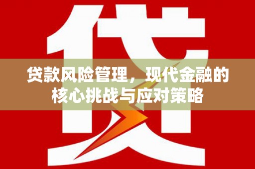 乐东贷款风险管理，现代金融的核心挑战与应对策略