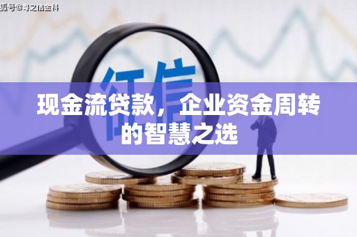 乐东现金流贷款，企业资金周转的智慧之选