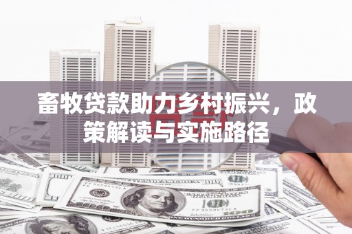 乐东畜牧贷款助力乡村振兴，政策解读与实施路径