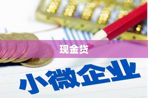 乐东现金贷