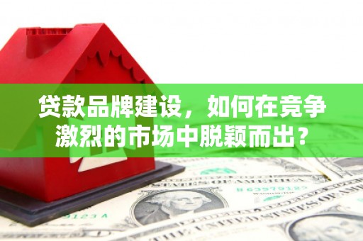 乐东贷款品牌建设，如何在竞争激烈的市场中脱颖而出？