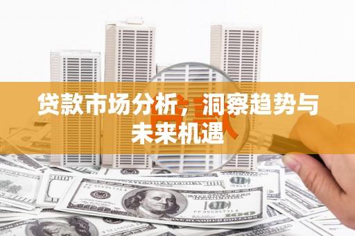 乐东贷款市场分析，洞察趋势与未来机遇