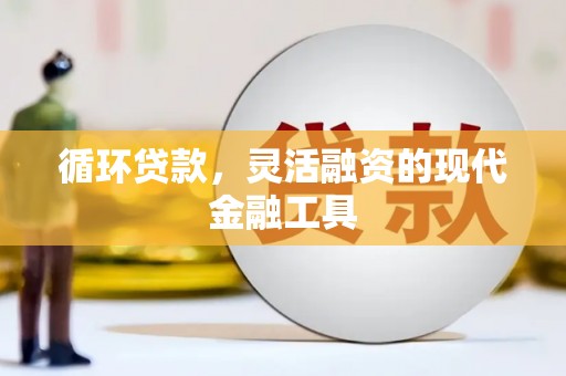 乐东循环贷款，灵活融资的现代金融工具