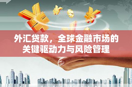 乐东外汇贷款，全球金融市场的关键驱动力与风险管理