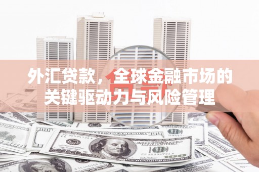 乐东外汇贷款，全球金融市场的关键驱动力与风险管理