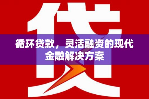 乐东循环贷款，灵活融资的现代金融解决方案
