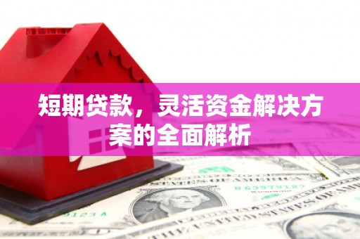 乐东短期贷款，灵活资金解决方案的全面解析