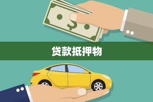 乐东贷款抵押物