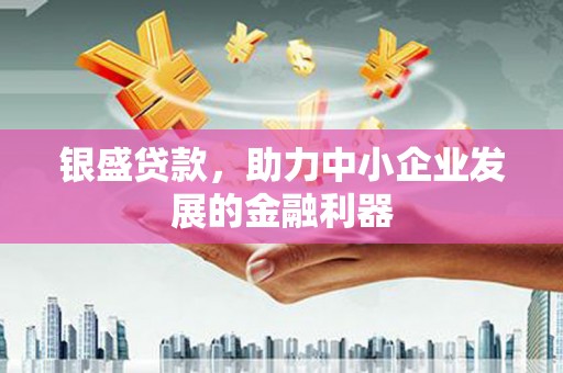 乐东银盛贷款，助力中小企业发展的金融利器