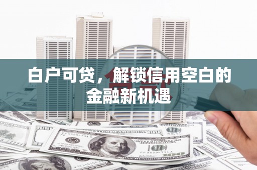 乐东白户可贷，解锁信用空白的金融新机遇