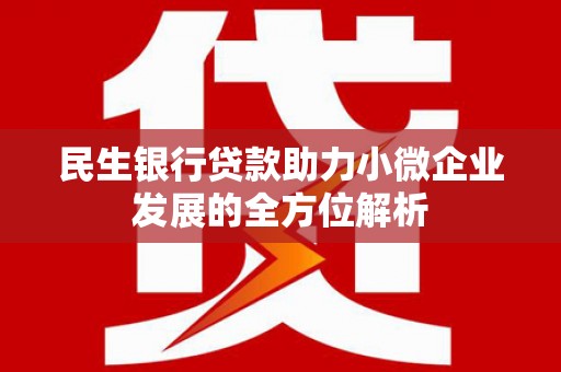 乐东民生银行贷款助力小微企业发展的全方位解析