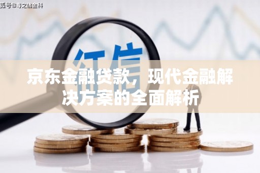 乐东京东金融贷款，现代金融解决方案的全面解析