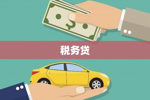 乐东税务贷