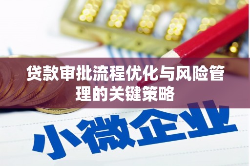 乐东贷款审批流程优化与风险管理的关键策略
