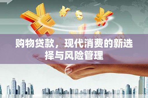 乐东购物贷款，现代消费的新选择与风险管理