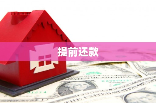 乐东提前还款