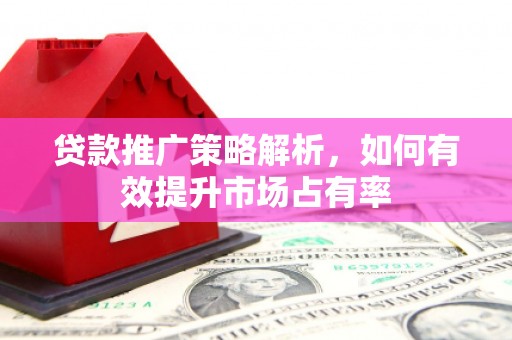 乐东贷款推广策略解析，如何有效提升市场占有率