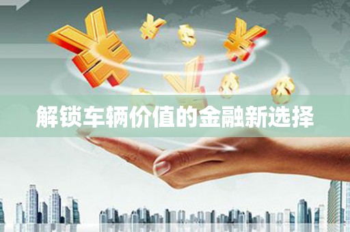 乐东解锁车辆价值的金融新选择