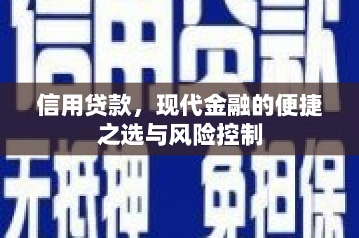 乐东信用贷款，现代金融的便捷之选与风险控制