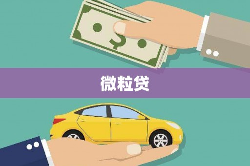 乐东微粒贷