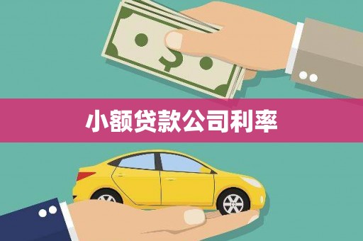 乐东小额贷款公司利率