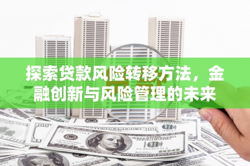 乐东探索贷款风险转移方法，金融创新与风险管理的未来