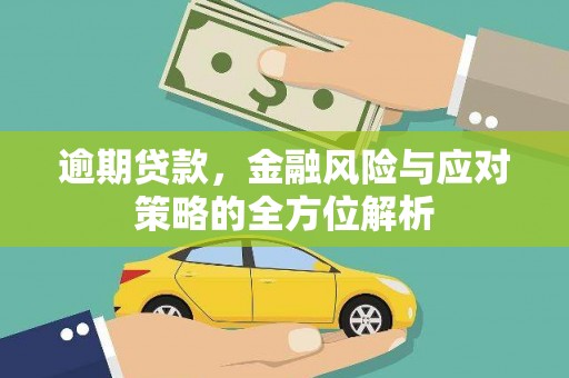 乐东逾期贷款，金融风险与应对策略的全方位解析