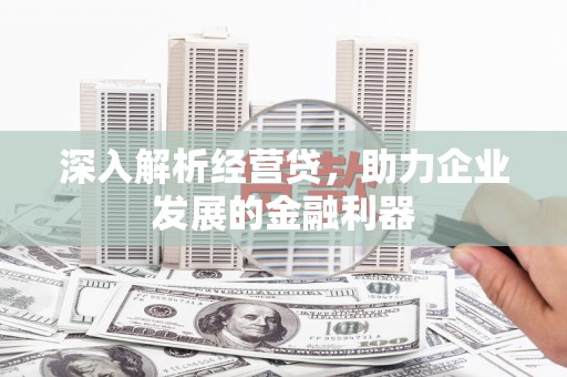 乐东深入解析经营贷，助力企业发展的金融利器