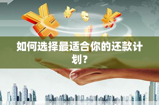 乐东如何选择最适合你的还款计划？