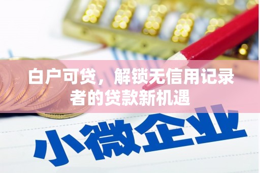 乐东白户可贷，解锁无信用记录者的贷款新机遇