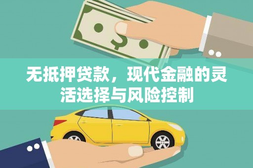 乐东无抵押贷款，现代金融的灵活选择与风险控制